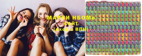 тгк Кукмор