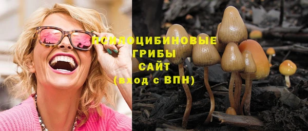 не бодяженный Кулебаки