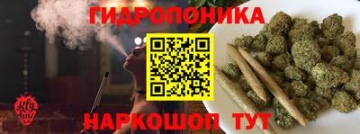индика Абакан