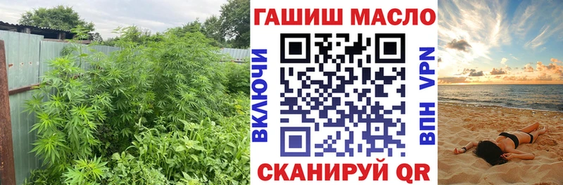где купить наркотик  Абакан  Дистиллят ТГК THC oil 