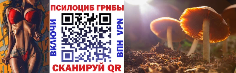 Псилоцибиновые грибы мицелий  Абакан 